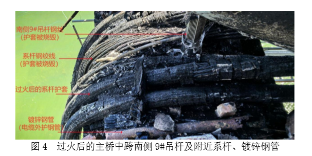 图片 4.png